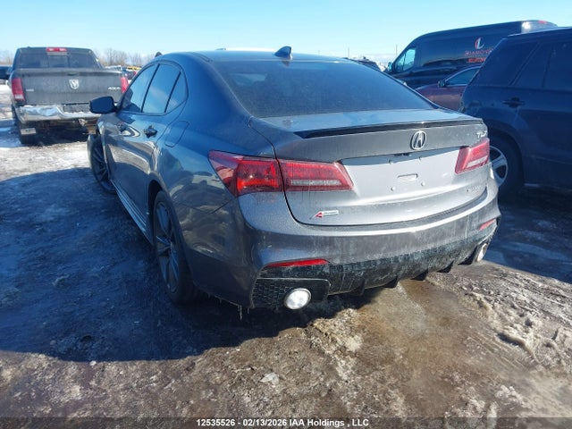 19UUB3F65LA800821 Acura TLX