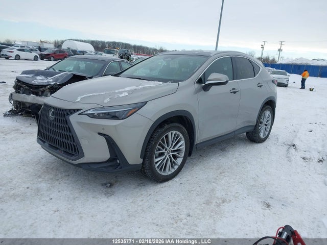 Продажа на аукционе авто 2023 Lexus Nx 350, vin: 2T2GGCEZ0PC021588, номер лота: 12535771