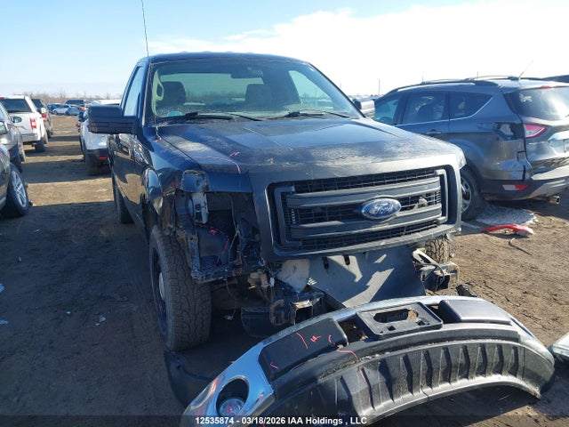 Продажа на аукционе авто 2013 Ford F150, vin: 1FTMF1CM7DFB85073, номер лота: 12535874