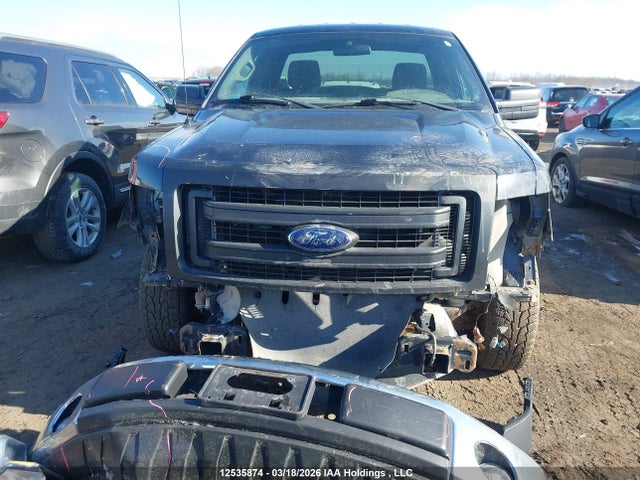 Auction sale of the 2013 Ford F150, vin: 1FTMF1CM7DFB85073, lot number: 12535874