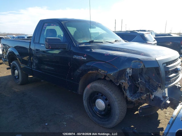 Auction sale of the 2013 Ford F150, vin: 1FTMF1CM7DFB85073, lot number: 12535874
