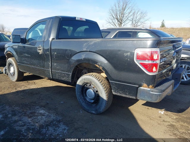 Auction sale of the 2013 Ford F150, vin: 1FTMF1CM7DFB85073, lot number: 12535874
