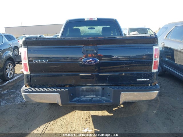 Auction sale of the 2013 Ford F150, vin: 1FTMF1CM7DFB85073, lot number: 12535874