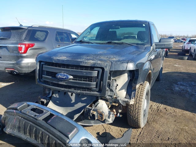 Auction sale of the 2013 Ford F150, vin: 1FTMF1CM7DFB85073, lot number: 12535874