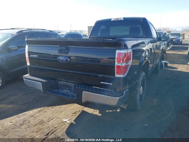 Auction sale of the 2013 Ford F150, vin: 1FTMF1CM7DFB85073, lot number: 12535874