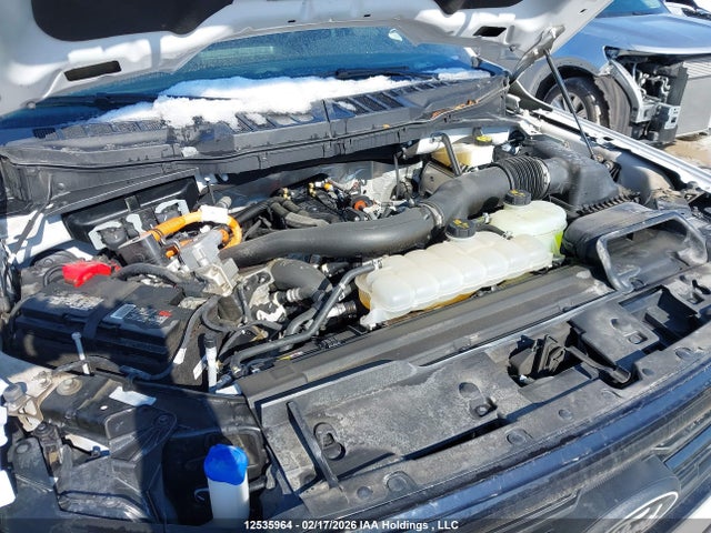 Aukcja sprzedaży 2024 Ford F-150 Xlt, vin: 1FTFW3LD5RFB84967, numer aukcji: 12535964