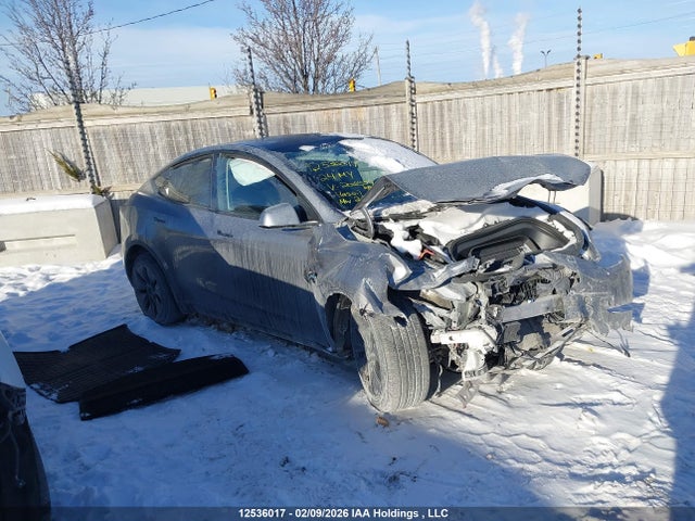 Продаж на аукціоні авто 2024 Tesla Model Y, vin: 7SAYGDEE2RF206559, номер лоту: 12536017