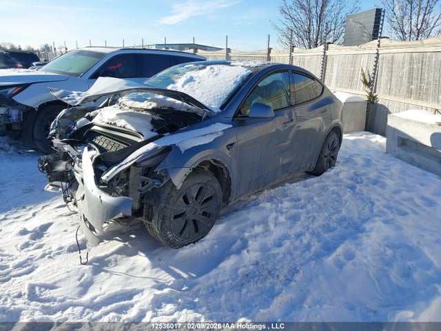 Продаж на аукціоні авто 2024 Tesla Model Y, vin: 7SAYGDEE2RF206559, номер лоту: 12536017