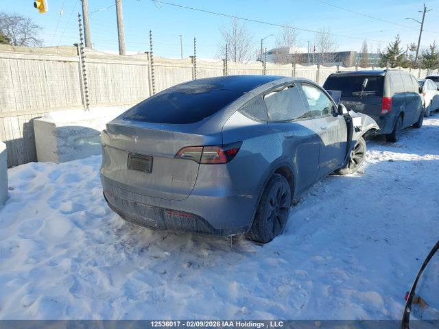 Продаж на аукціоні авто 2024 Tesla Model Y, vin: 7SAYGDEE2RF206559, номер лоту: 12536017
