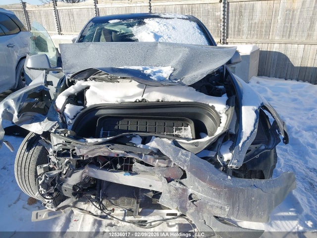 Продаж на аукціоні авто 2024 Tesla Model Y, vin: 7SAYGDEE2RF206559, номер лоту: 12536017