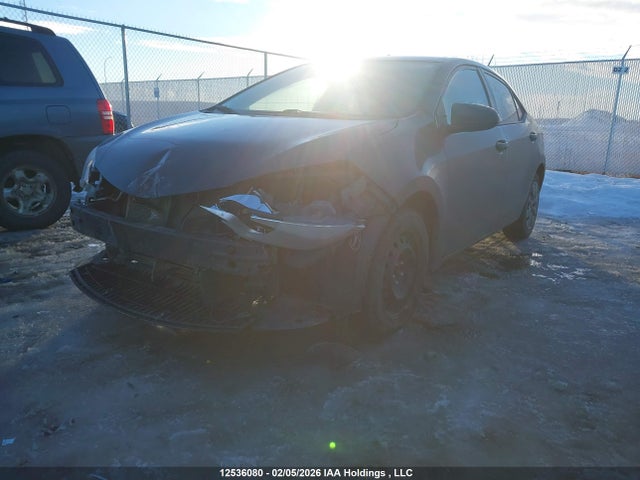 2T1BURHE4GC681006 Toyota Corolla L/le/le Pls/prm/s/s Pls