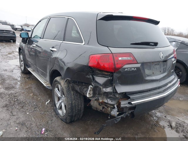 Продаж на аукціоні авто 2010 Acura Mdx Technology, vin: 2HNYD2H60AH004729, номер лоту: 12536254