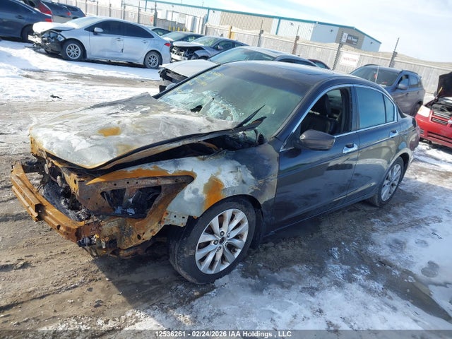 Продажа на аукционе авто 2011 Honda Accord Ex-l V6, vin: 1HGCP3F87BA800400, номер лота: 12536261