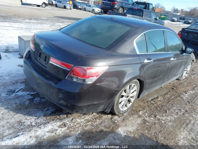 Продажа на аукционе авто 2011 Honda Accord Ex-l V6, vin: 1HGCP3F87BA800400, номер лота: 12536261