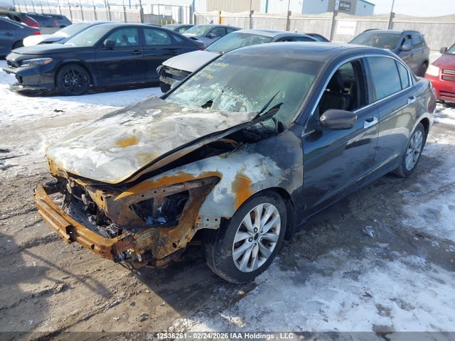 Продажа на аукционе авто 2011 Honda Accord Ex-l V6, vin: 1HGCP3F87BA800400, номер лота: 12536261