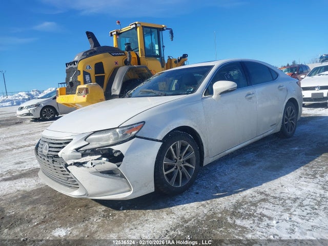 JTHBW1GGXH2155105 Lexus Es 300h 300h