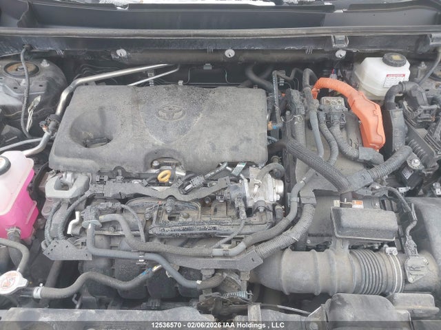 2T3RWRFV3PW178956 Toyota Rav4 Xle/woodland Edition