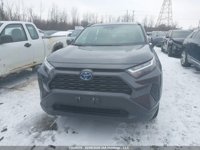 2T3RWRFV3PW178956 Toyota Rav4 Xle/woodland Edition