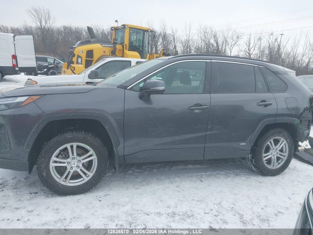 2T3RWRFV3PW178956 Toyota Rav4 Xle/woodland Edition