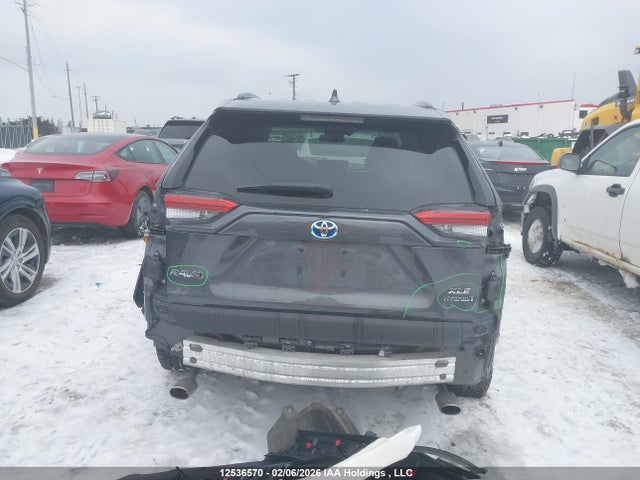 2T3RWRFV3PW178956 Toyota Rav4 Xle/woodland Edition