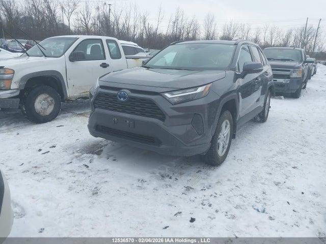 2T3RWRFV3PW178956 Toyota Rav4 Xle/woodland Edition