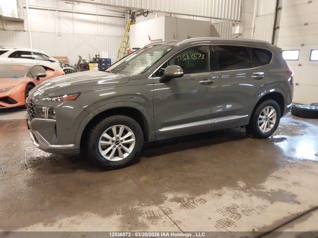 12536573 :رقم المزاد ، 5NMS5DAL3MH312815 vin ، 2021 Hyundai Santa Fe Calligraphy مزاد بيع