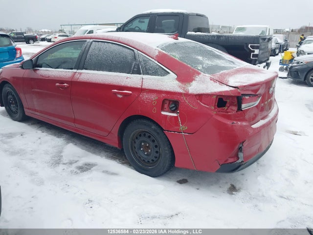 5NPE24AF0JH692212 Hyundai SONATA SE