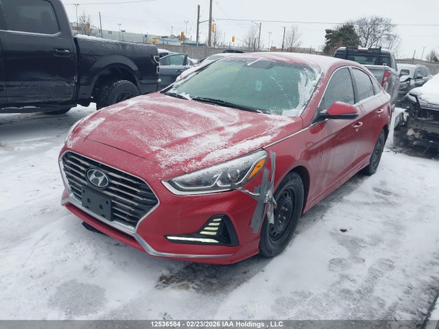 5NPE24AF0JH692212 Hyundai SONATA SE