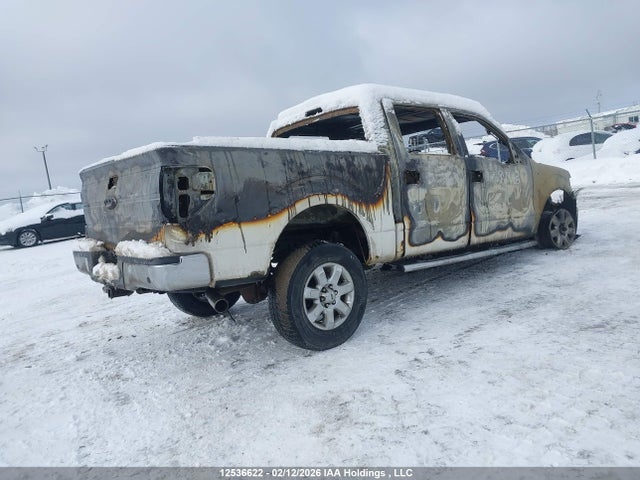 12536622 :رقم المزاد ، 1FTFW1ETXEFA80266 vin ، 2014 Ford F150 Supercrew مزاد بيع