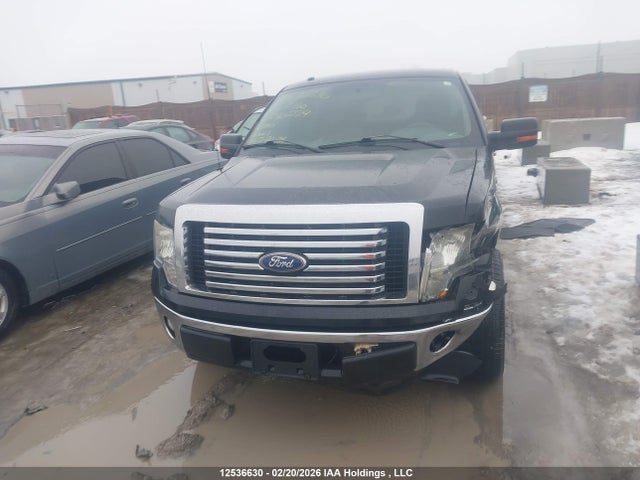 2010 Ford F-150 Harley-davidson/lariat/xlt მანქანა იყიდება აუქციონზე, vin: 1FTFW1CV1AFC80239, აუქციონის ნომერი: 12536630