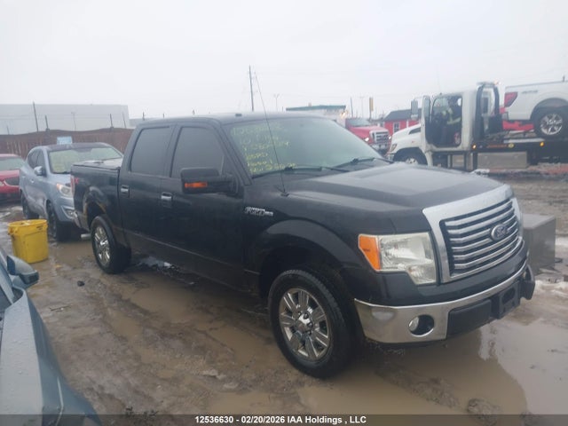 2010 Ford F-150 Harley-davidson/lariat/xlt მანქანა იყიდება აუქციონზე, vin: 1FTFW1CV1AFC80239, აუქციონის ნომერი: 12536630