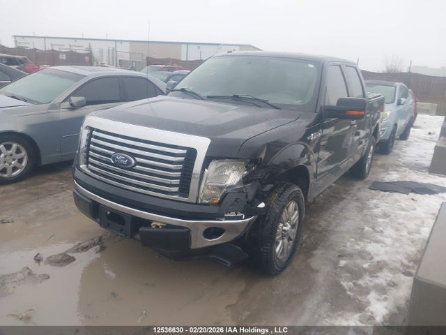 2010 Ford F-150 Harley-davidson/lariat/xlt მანქანა იყიდება აუქციონზე, vin: 1FTFW1CV1AFC80239, აუქციონის ნომერი: 12536630