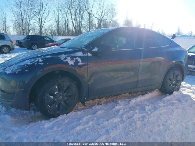 7SAYGDEE6RF206919 Tesla Model Y Long Range