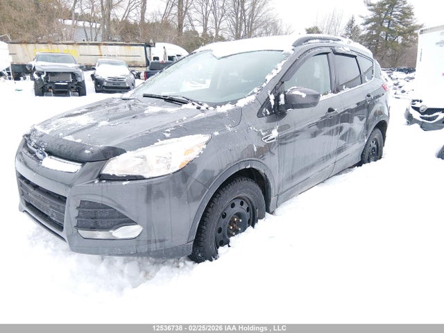 1FMCU9GX6GUC68624 Ford ESCAPE SE