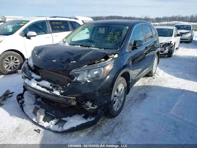 12536959 :رقم المزاد ، 2HKRM4H76DH100181 vin ، 2013 Honda Cr-v مزاد بيع