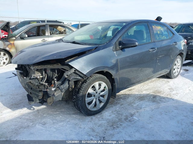 2T1BURHE1GC726516 Toyota Corolla L/le/le Pls/prm/s/s Pls