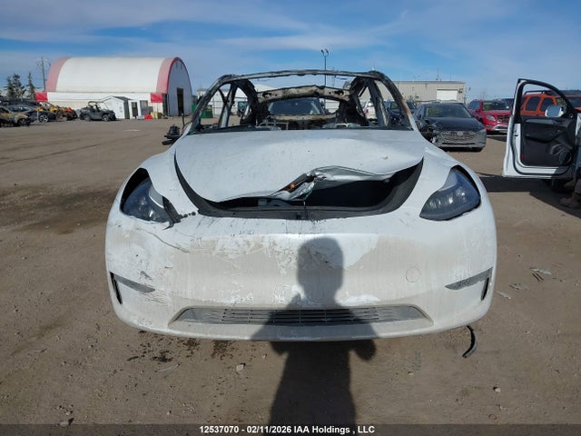 Продаж на аукціоні авто 2023 Tesla Model Y Long Range, vin: 7SAYGDEE2PF669489, номер лоту: 12537070