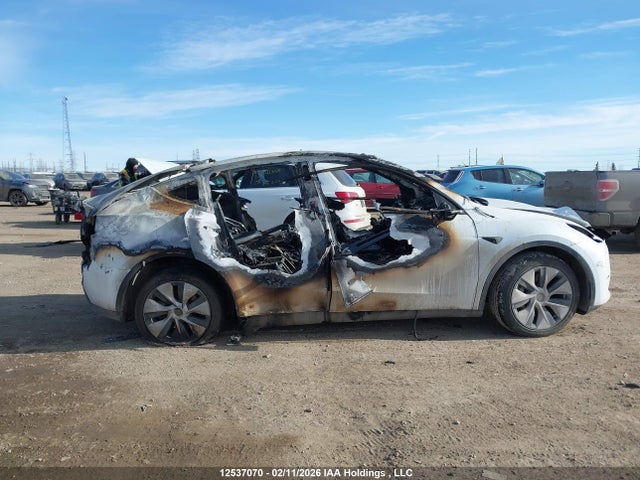 Продаж на аукціоні авто 2023 Tesla Model Y Long Range, vin: 7SAYGDEE2PF669489, номер лоту: 12537070