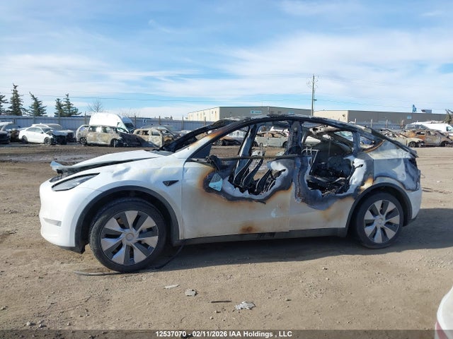 Продаж на аукціоні авто 2023 Tesla Model Y Long Range, vin: 7SAYGDEE2PF669489, номер лоту: 12537070