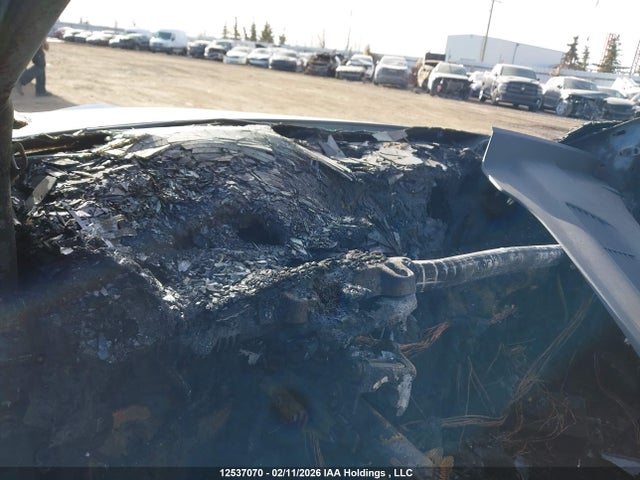 Продаж на аукціоні авто 2023 Tesla Model Y Long Range, vin: 7SAYGDEE2PF669489, номер лоту: 12537070