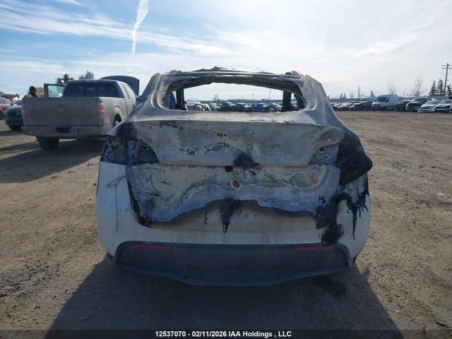 Продаж на аукціоні авто 2023 Tesla Model Y Long Range, vin: 7SAYGDEE2PF669489, номер лоту: 12537070