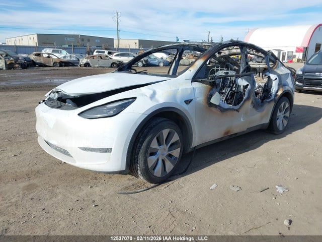 Продаж на аукціоні авто 2023 Tesla Model Y Long Range, vin: 7SAYGDEE2PF669489, номер лоту: 12537070