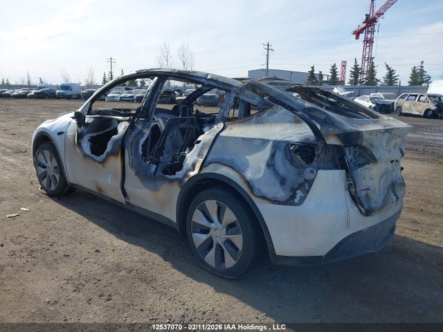 Продаж на аукціоні авто 2023 Tesla Model Y Long Range, vin: 7SAYGDEE2PF669489, номер лоту: 12537070