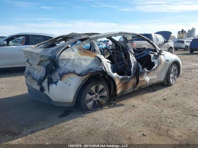 Продаж на аукціоні авто 2023 Tesla Model Y Long Range, vin: 7SAYGDEE2PF669489, номер лоту: 12537070