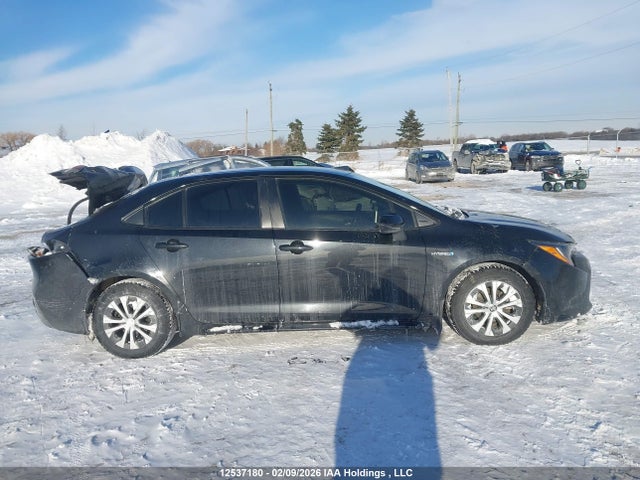 Toyota COROLLA LE 2020 JTDBBRBE8LJ030104 Image 13