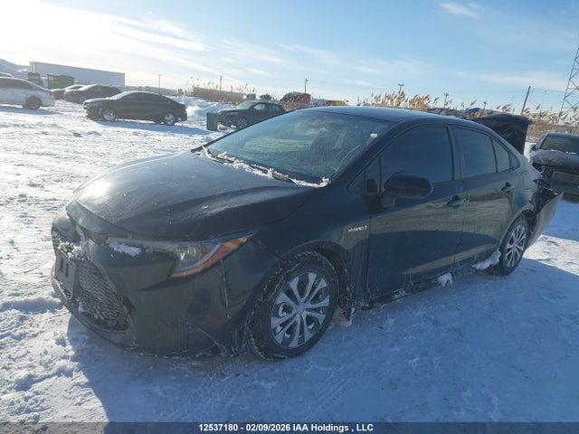 Toyota COROLLA LE 2020 JTDBBRBE8LJ030104 Image 2