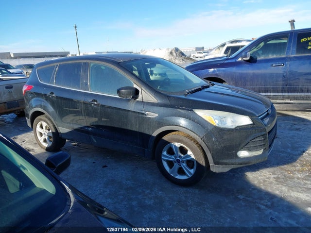 Ford ESCAPE SE 2016 1FMCU0G74GUA87632 Image 14