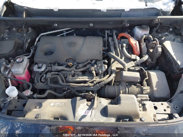12537231 :رقم المزاد ، 2T3BWRFV2PW162863 vin ، 2023 Toyota Rav4 مزاد بيع