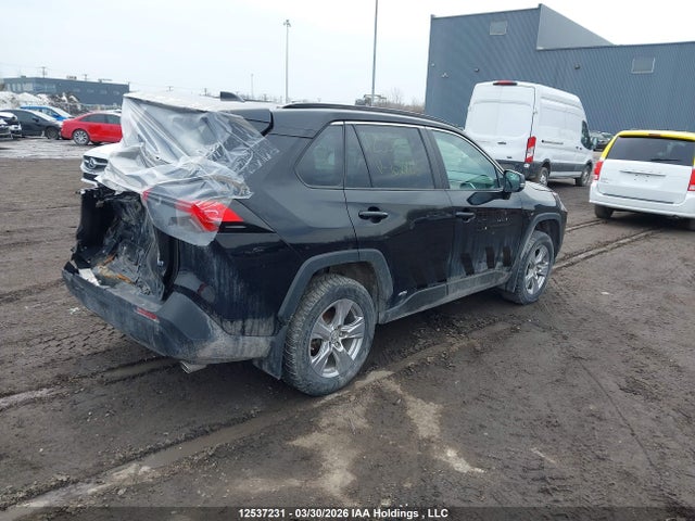 12537231 :رقم المزاد ، 2T3BWRFV2PW162863 vin ، 2023 Toyota Rav4 مزاد بيع