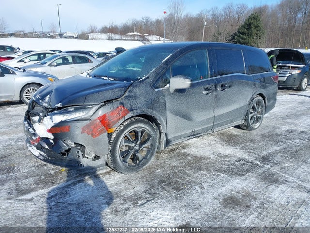 Aukcja sprzedaży 2024 Honda Odyssey, vin: 5FNRL6H08RB501920, numer aukcji: 12537237